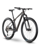 Slika Rraymon HardRay 8.0 2022 - stone met/black - 29"/622 mm