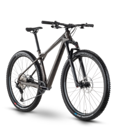 Slika Rraymon HardRay 8.0 2022 - stone met/black - 29"/622 mm