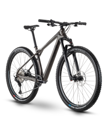 Slika Rraymon HardRay 8.0 2022 - stone met/black - 29"/622 mm