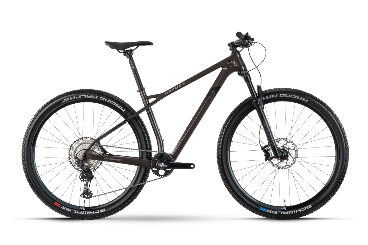 Slika Rraymon HardRay 8.0 2022 - stone met/black - 29"/622 mm