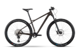 Slika Rraymon HardRay 8.0 2022 - stone met/black - 29"/622 mm