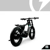 STACYC 16HDRIVE